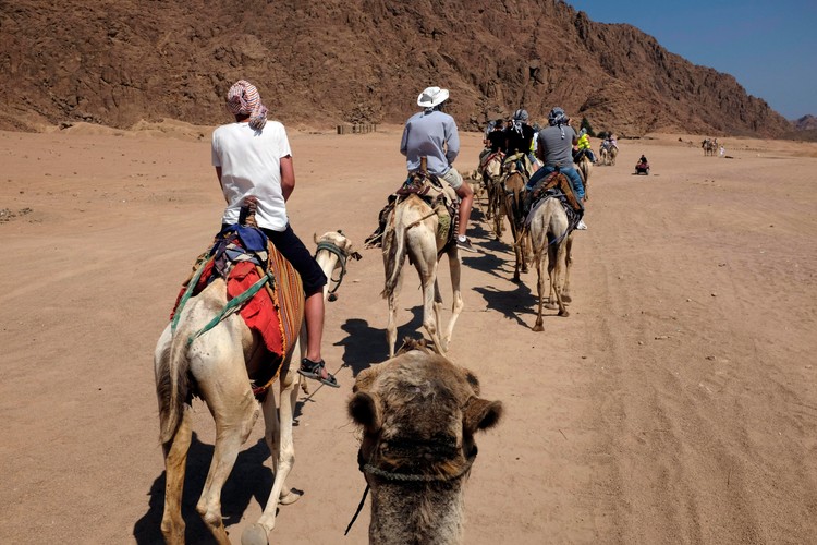 Polacy na wycieczce na Półwyspie Synaj
