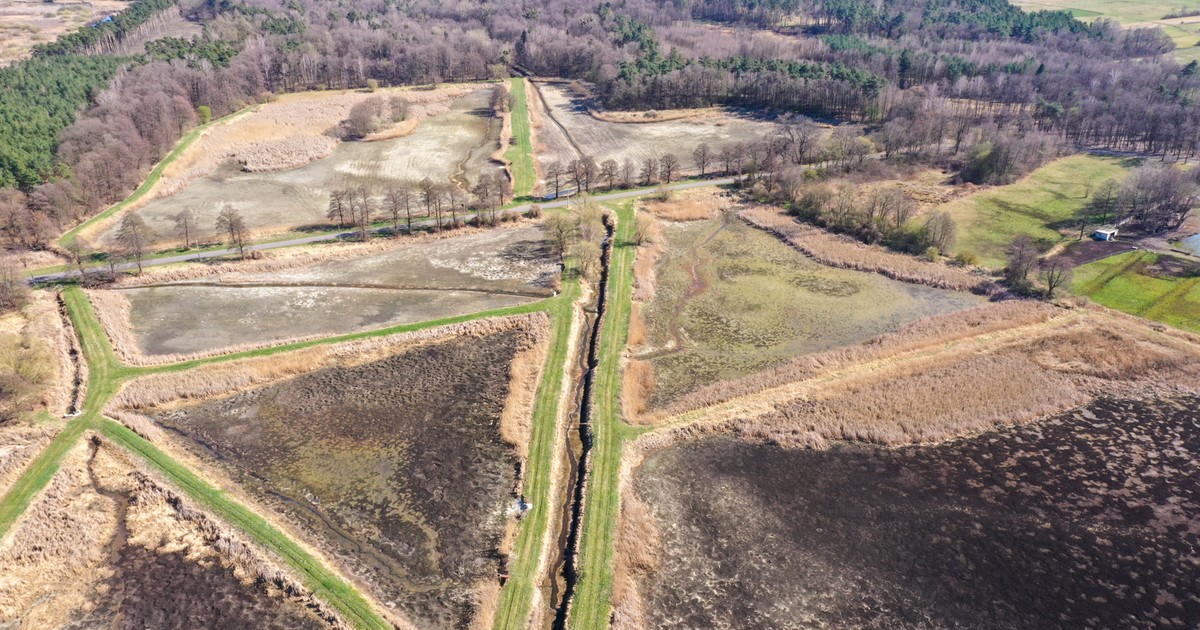 Alarmujący raport UE: wiosenna susza w Europie się nasila. Problem zwłaszcza dla Polski i Ukrainy