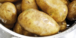 Kiedy trzeba wyrzucić ziemniaki? Ekspertka wyjaśnia
