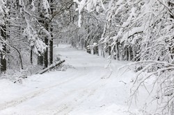 W weekend ocieplenie, chłód utrzyma się na południu i krańcach wschodnich [PROGNOZA POGODY]