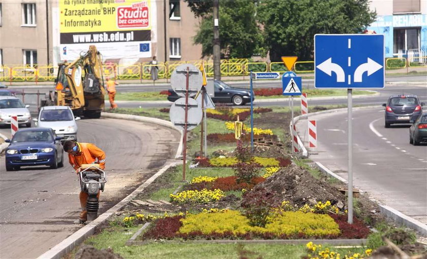 Posadzili i zniszczyli