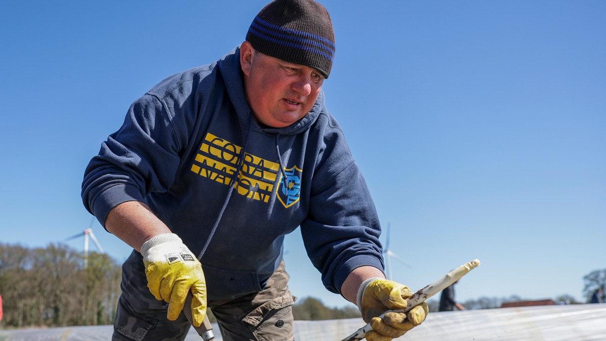 Gastarbajter otkrio 5 razloga zašto napušta Nemačku: Razbio sve iluzije o visokim zaradama