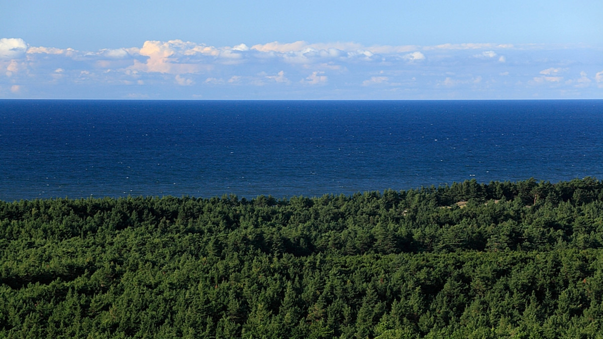 Niemiecki oddział organizacji ekologicznej WWF chce utworzyć na dużym obszarze Bałtyku Morski Park Narodowy - poinformowano oficjalnie na Międzynarodowej Konferencji Ochrony Morza w niemieckim Stralsundzie.