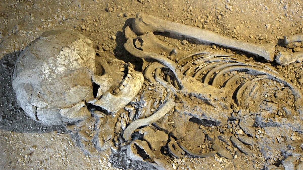 Brutalnie okaleczone zwłoki odkryte w średniowiecznej osadzie w Wielkiej Brytanii skłaniają archeologów do przypuszczenia, że jej mieszkańcy dokonali profanacji ze strachu przed atakiem zombie.