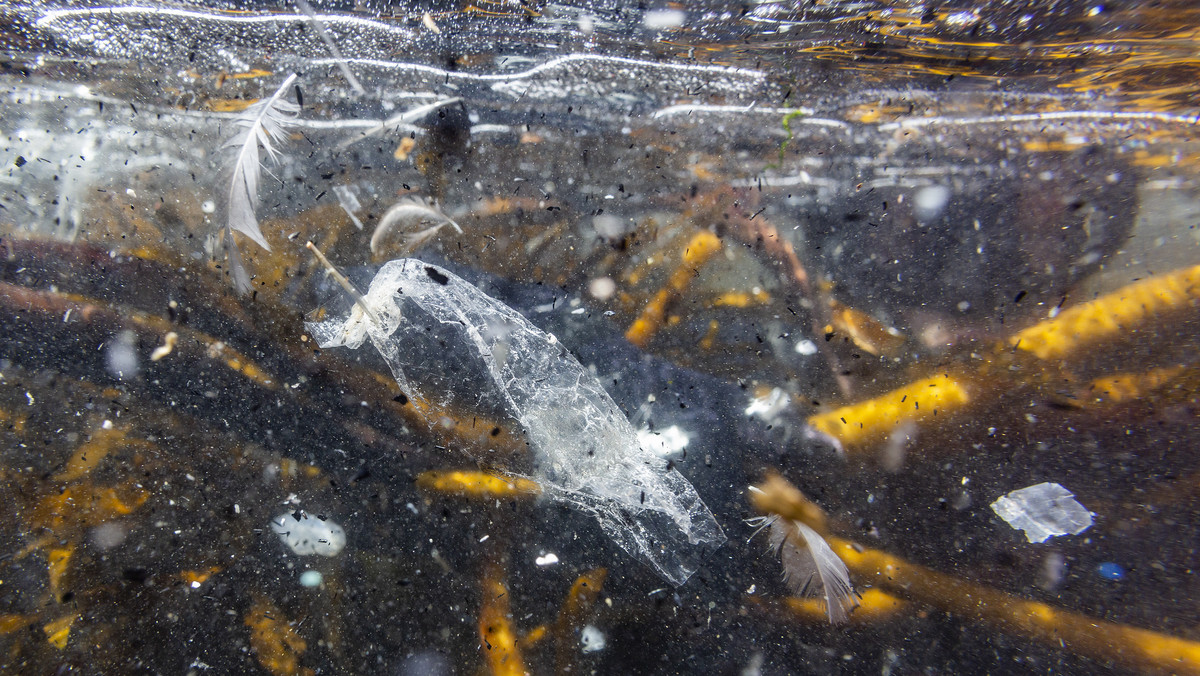 Nawet nie wiemy, ile zjadamy codziennie plastiku. Ani czy nam to szkodzi