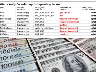 W Polsce wciąż można dostać kredyt walutowy
