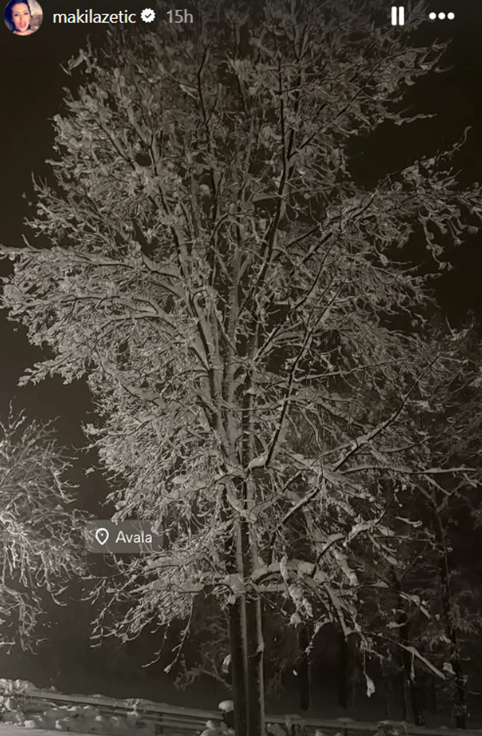 Kuća Sonje i Nikole Lazetića na Avali