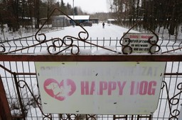 schronisko w sobolewie zamknięte: „nie będzie taryfy ulgowej”