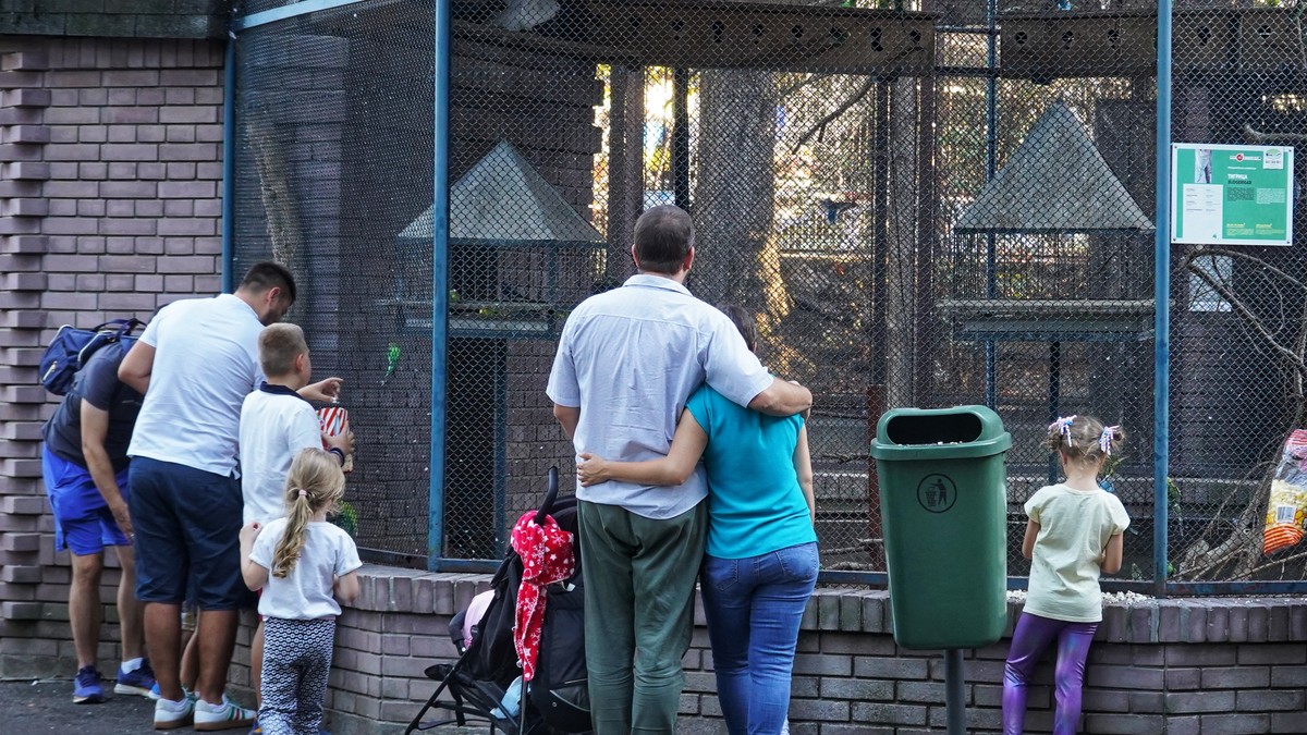 (FOTO) Srbija ovo nije videla 30 GODINA: Posetioci čekali da kupe kartu za ZOO vrt, pa kroz ogradu prisustvovali NEVEROVATNOJ SCENI