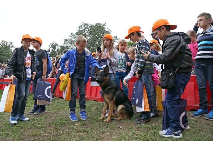 Oko pasa se okupio veliki broj dece