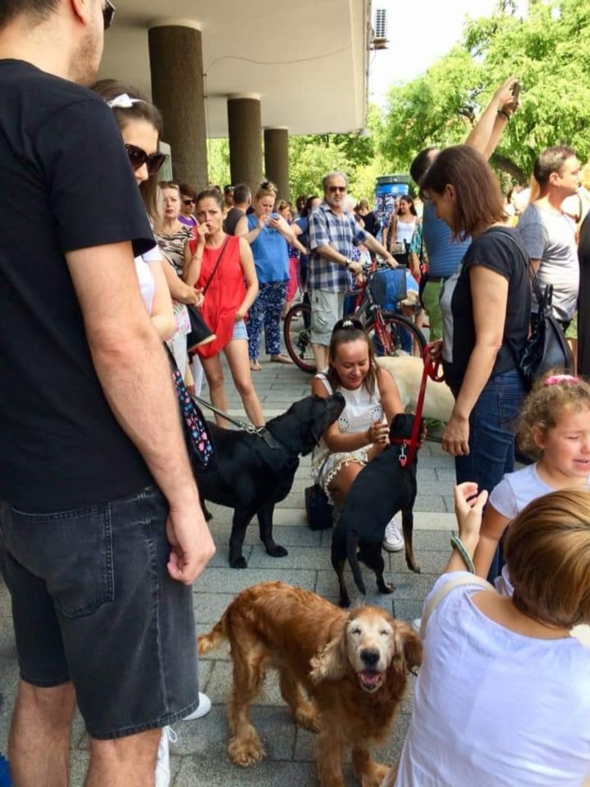 Pančevci su pred gradskom upravom protestovali protiv masovnog trovanja životinja zahtevajući kažnjavanje krivaca