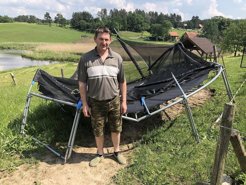 Trampolina chciała zabić moją krowę