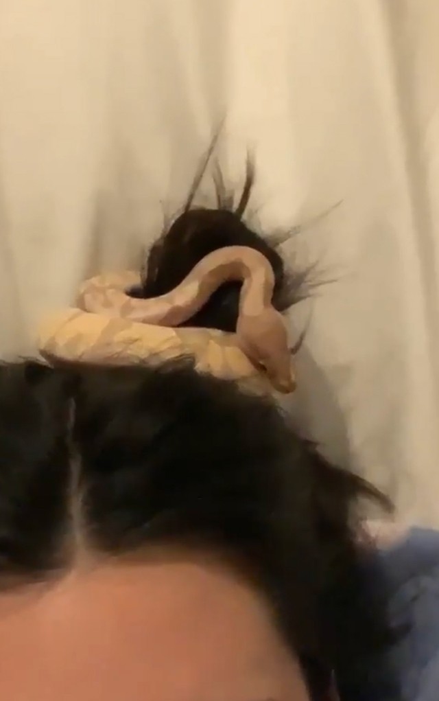 Kendall Jenner háziállatától frászt kaptunk