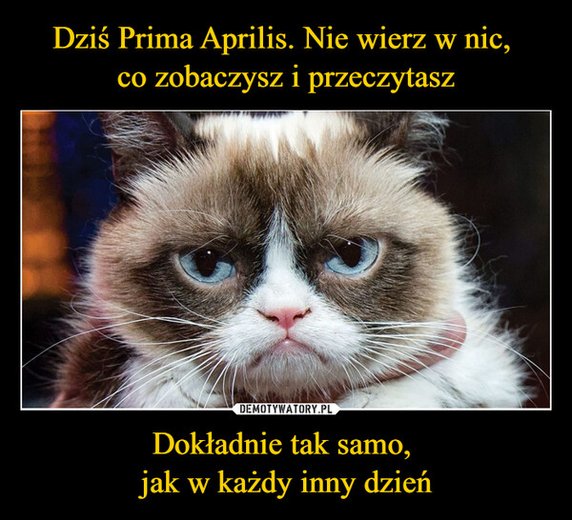 Dzisiaj prima aprilis. Te memy rozbawią cię do łez