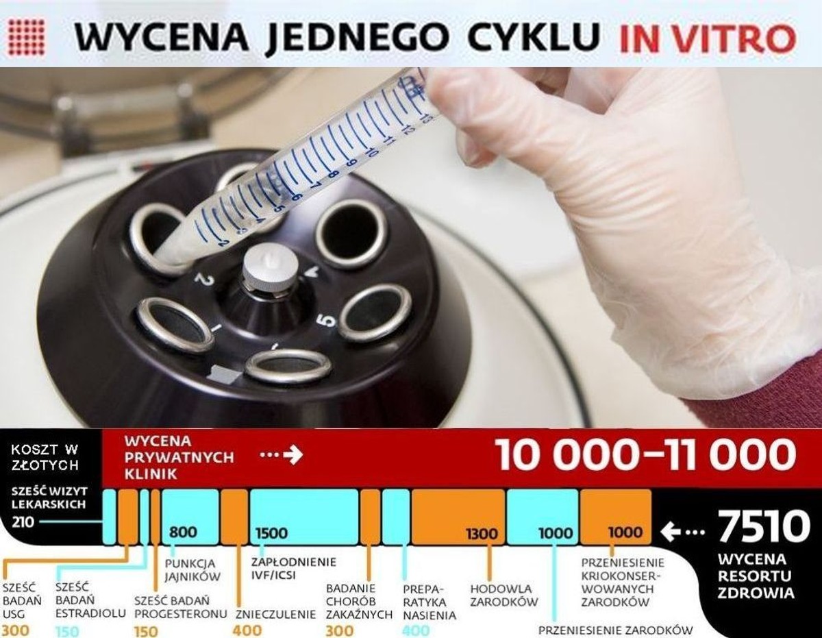 Wycena jednego cyklu in vitro