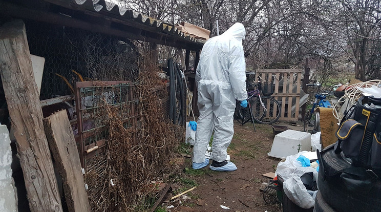 A borzalmak helyszíne Zichyújfalun / Fotó: police.hu