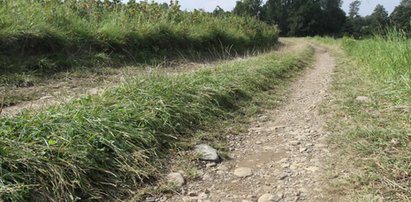 Auto na uboczu polnej dróżki pod Wschową. W środku ciała ojca i córki. Wstrząsające szczegóły zbrodni