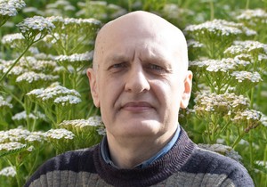 Hajdučka trava je ključna biljka domaće narodne medicine, poznata po širokoj primeni