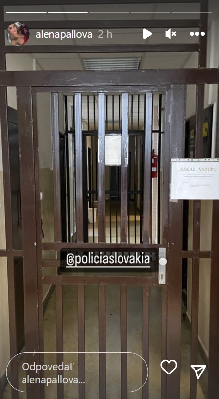 Alena Pallová vypovedala na polícii. 