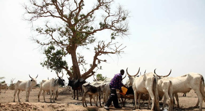 Buhari task governors to find lasting solutions to farmers/herdsmen crisis