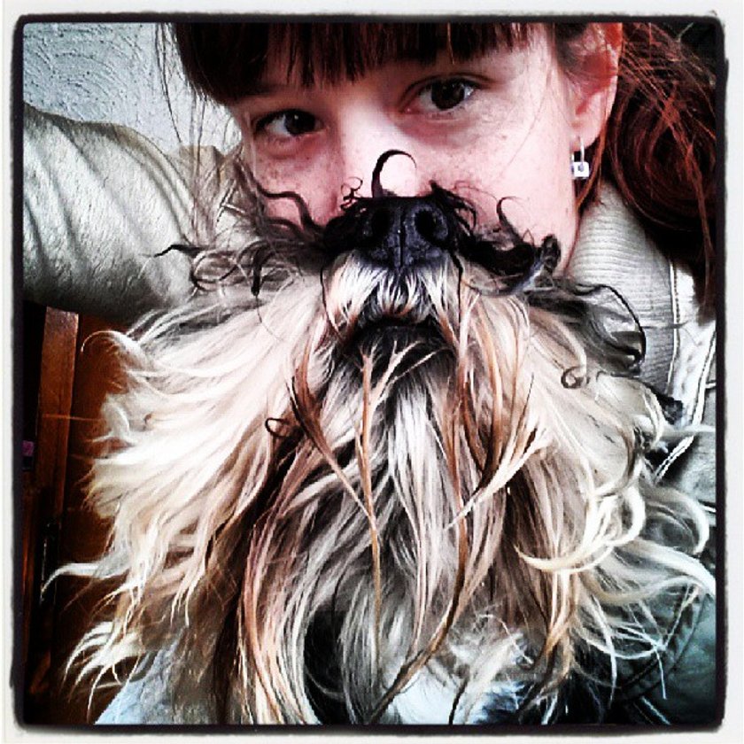 Cats Dogs Beards