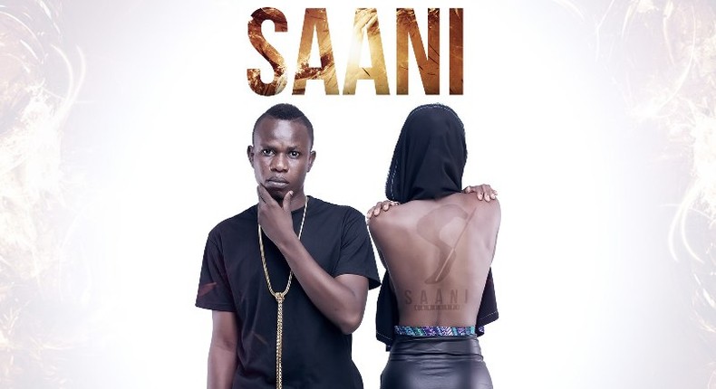 Saani - Holding On cover artwork