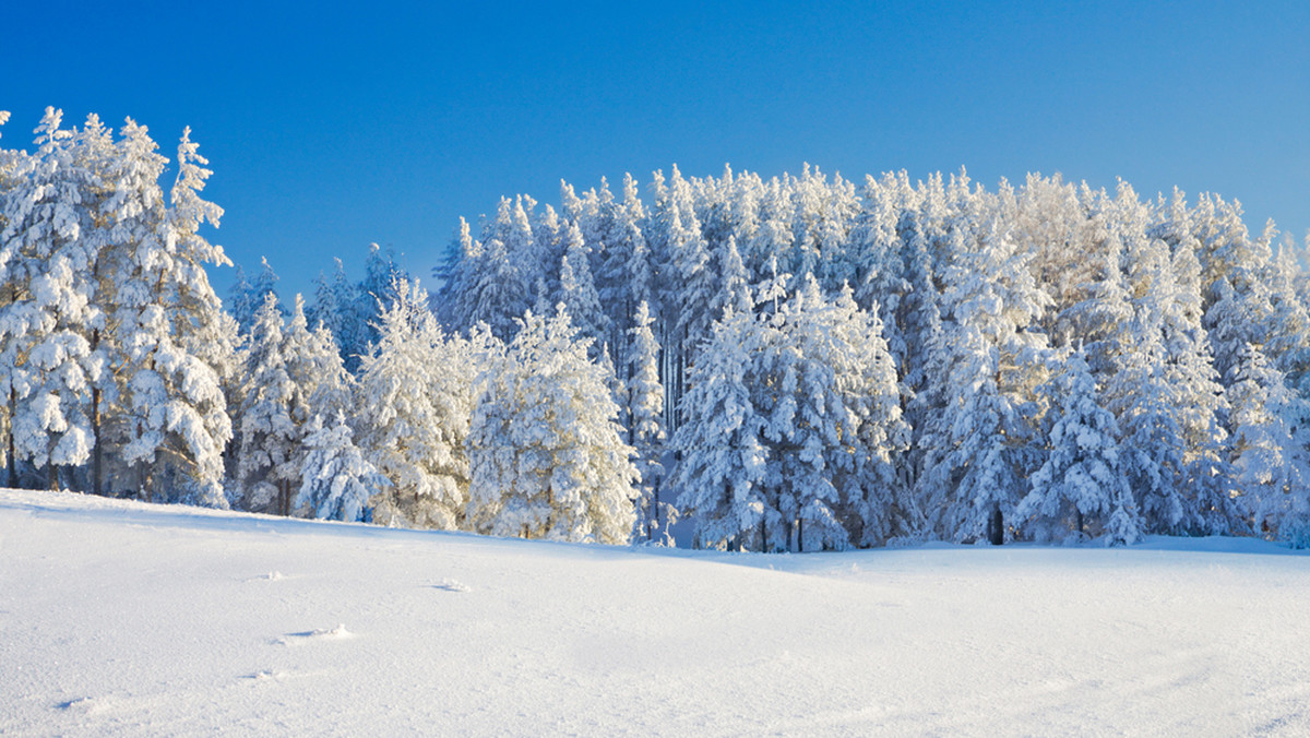 Ośrodek Narciarski Poľana leży w regionie Tatry Niskie Południe