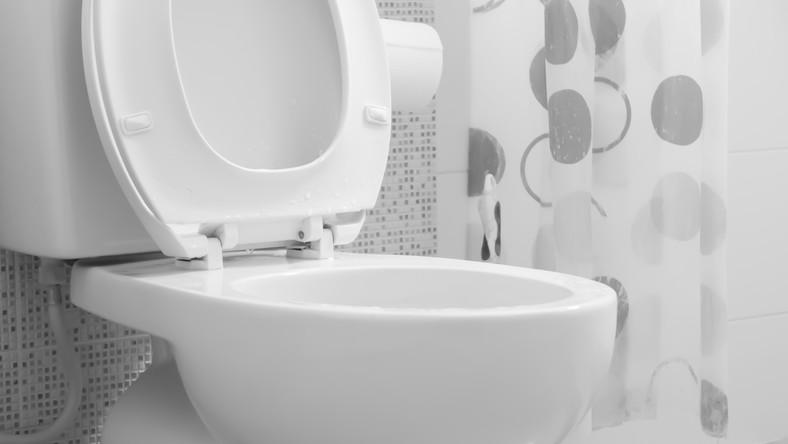 WC /Fotó: Thinkstock