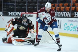 Liga NHL. Hat-trick Sanforda. Avalanche wygrali 5. raz z rzędu