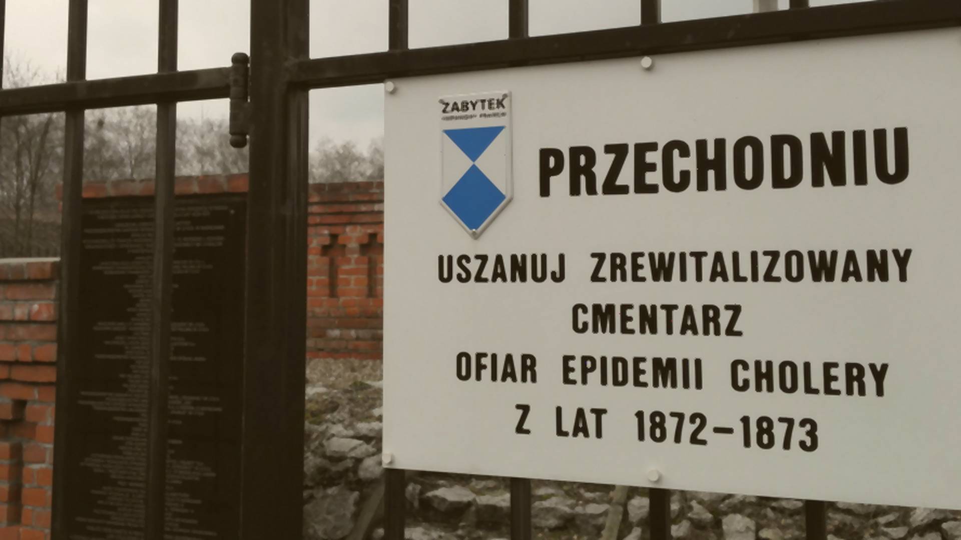 Odwiedziliśmy cmentarz zakaźny w Warszawie. Co zobaczyliśmy w tym tajemniczym miejscu?