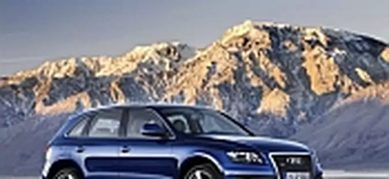 Nowy Audi Q5: SUV na sportowo