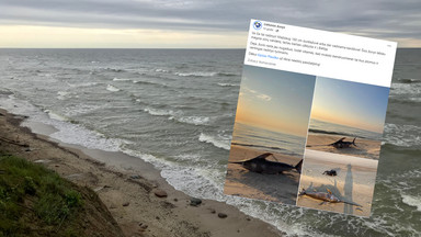 Morze Bałtyckie wyrzuciło na brzeg... rzadkiego gościa. Był ogromny! [ZDJĘCIA]