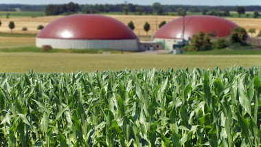 biogaz z polskim potencjałem. rząd przyspiesza rozwój zielonej energii