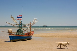 Unia nie wesprze polskiej floty rybackiej na Bałtyku. Dofinansuje akweny zamknięte