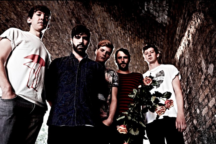 Foals