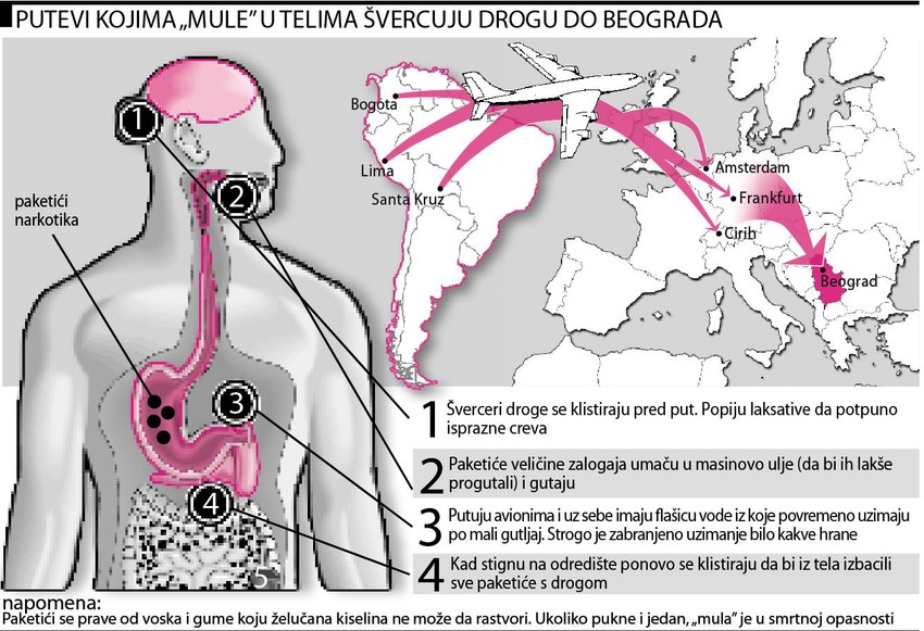 Za uećanje kliknite na sliku [+]