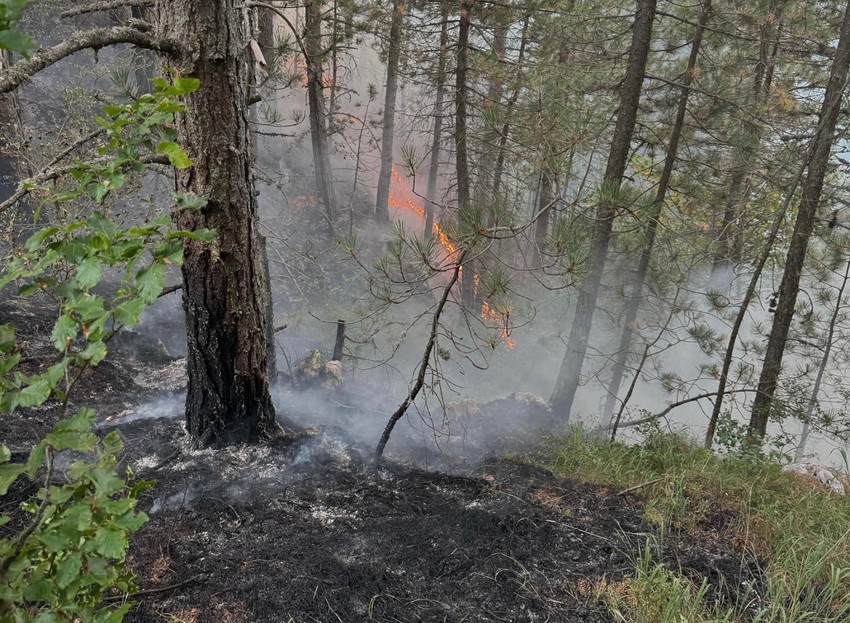 Ako bezbedno gašenje nije moguće, područje šumskog požara treba odmah napustiti