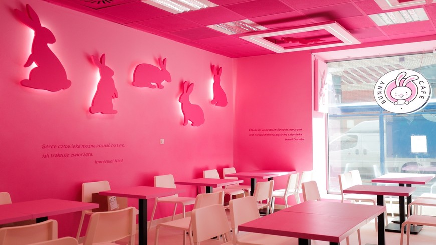 Bunny Cafe w Krakowie
