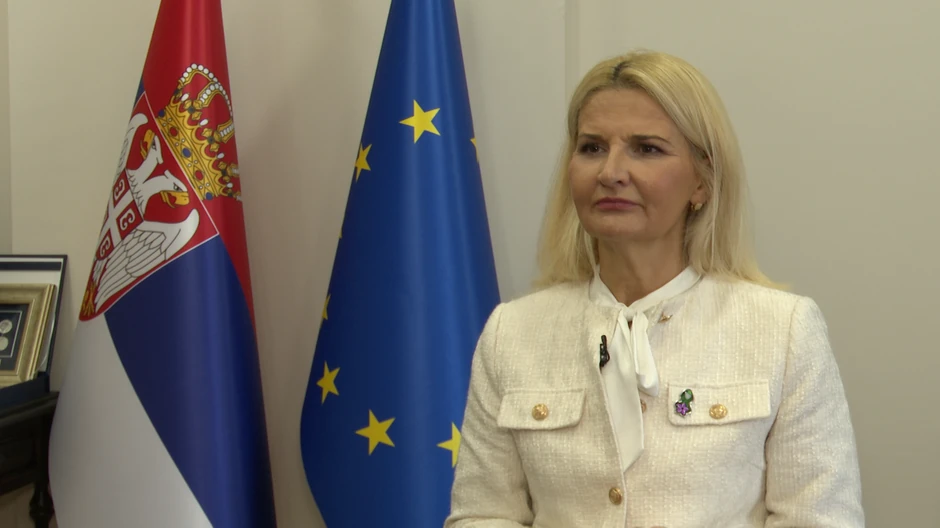 Miščević smatra da je za godinu dana mnogo toga urađeno na planu evropskih integracija