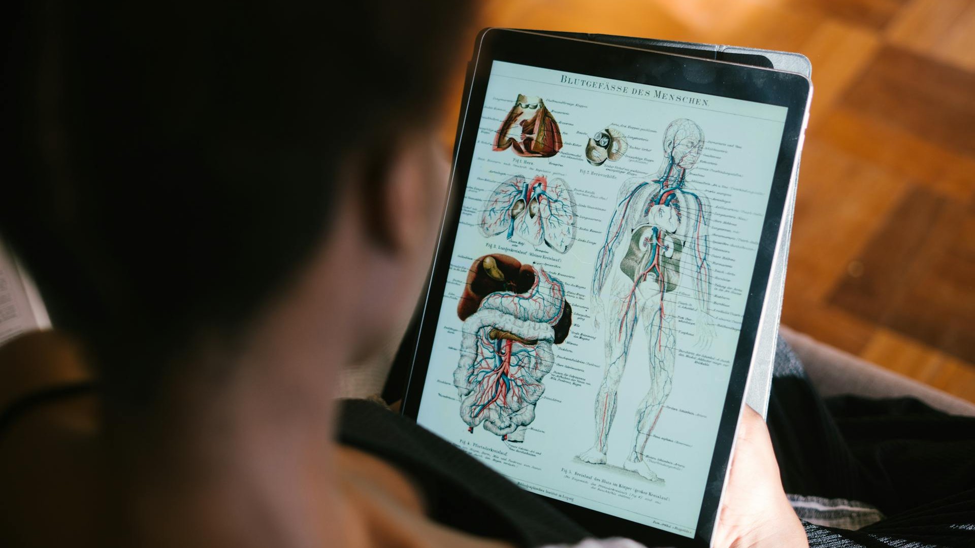 Poznáš anatómiu ľudského tela?