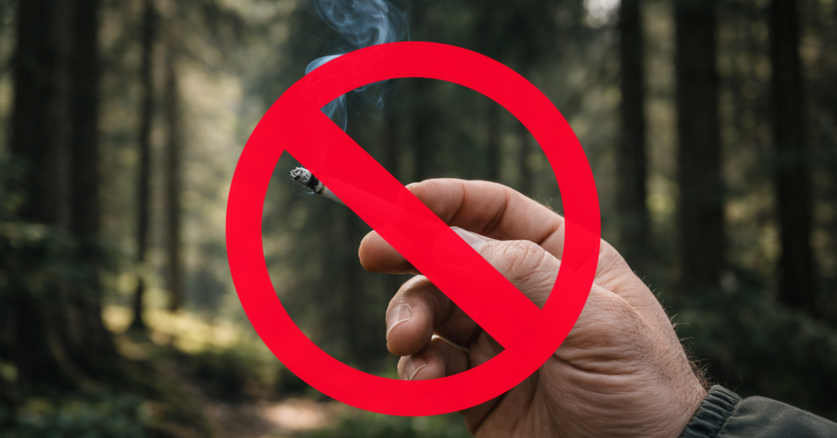 60 tys. zł – rekordowe grzywny dla palaczy papierosów. Gdzie lepiej nie palić?