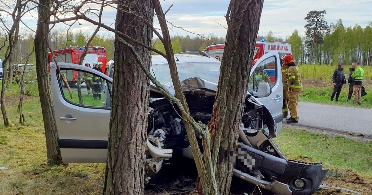 Peugeot rozbił się na drzewie – w środku dziadkowie i wnuki