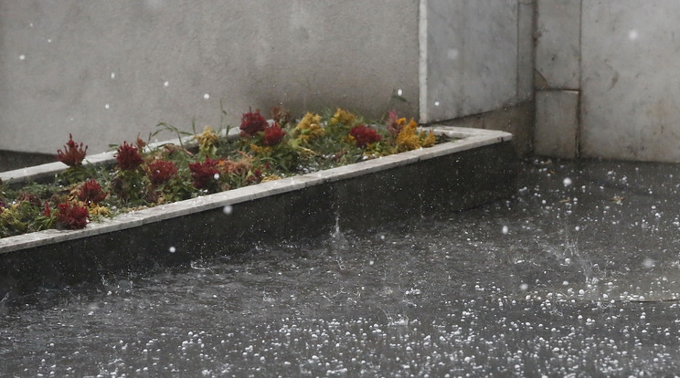 Drámai a helyzet Keszthelyen: utcákat, házakat, pincéket öntött el az eső /Illusztráció: Fuszek Gábor