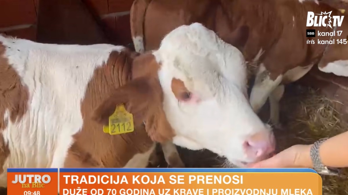 Gazdinstvo porodice Stojanović