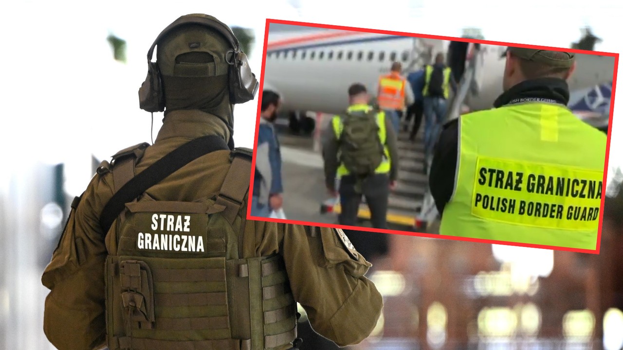 Gruzińskie gangi w Polsce. Rzecznik MSWiA o największej deportacji w tym roku