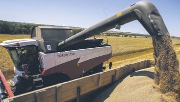 Dobra wiadomość dla konsumentów – globalne ceny żywności spadają