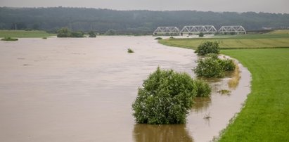 Ostrzeżenie IMGW najwyższego stopnia. Niebezpieczne wezbrania na Odrze