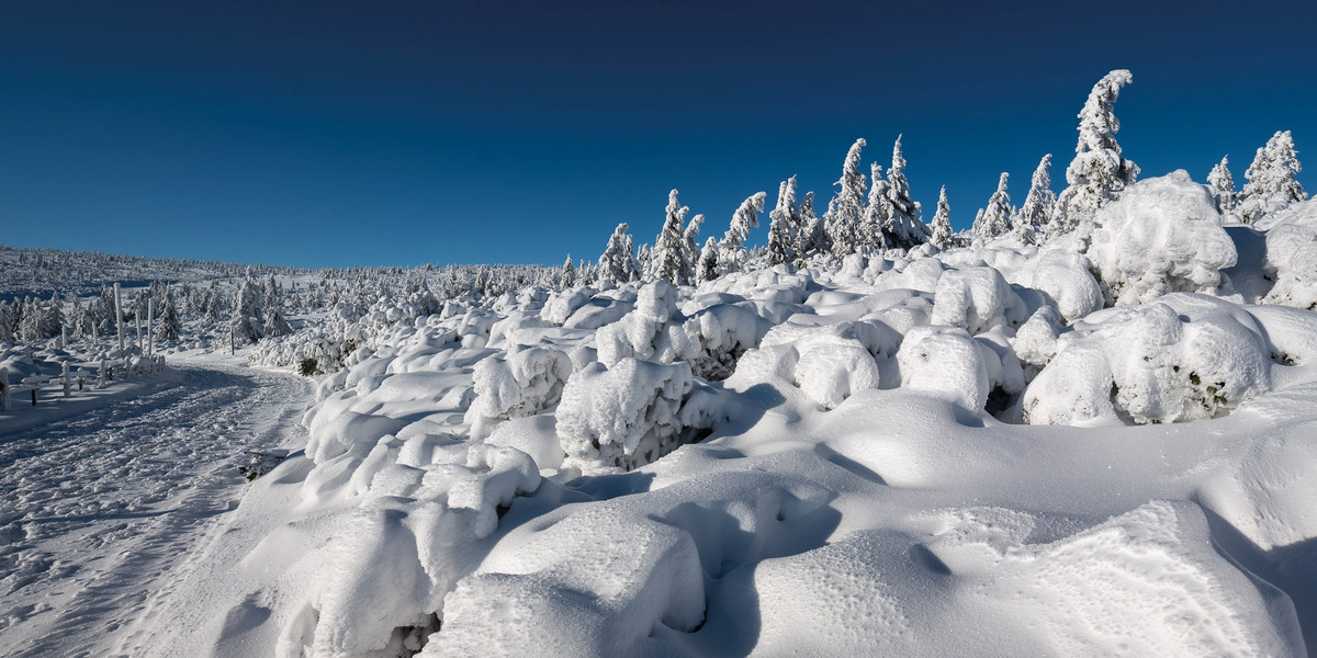 W drodze na Śnieżkę, fot. Piotr Krzaczkowski, METEO IMGW-PIB 