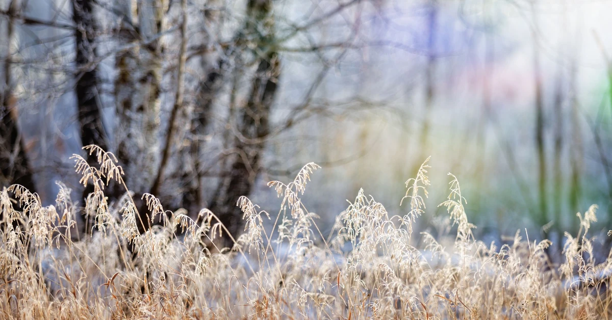 IMGW bije na alarm: Śnieg, burze, przymrozki. To nie koniec niespodzianek