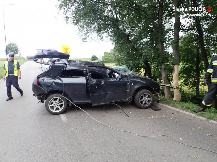 Uderzył w drzewo i wypadł z samochodu